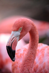 Similar image 13308731