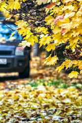 Similar image 13323228