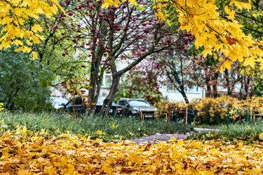 Similar image 13323230