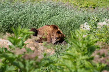 Similar image 13305487