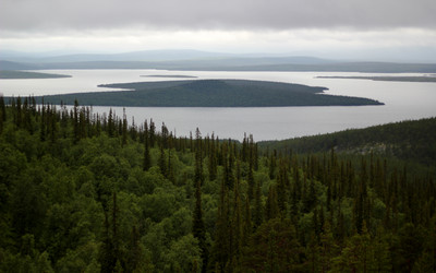 Similar image 13305488