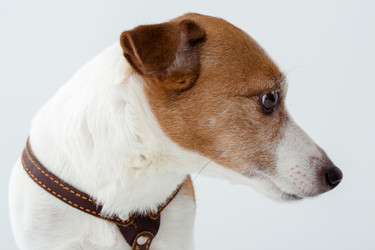 Similar image 13309484