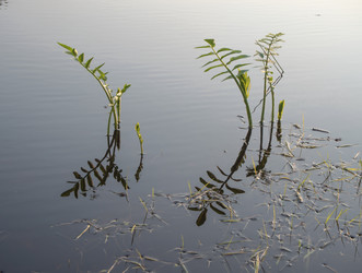 Similar image 13309822