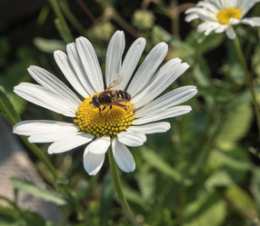 Similar image 13294218