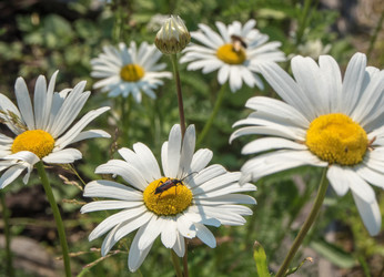 Similar image 13297637