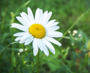 Similar image 13296008