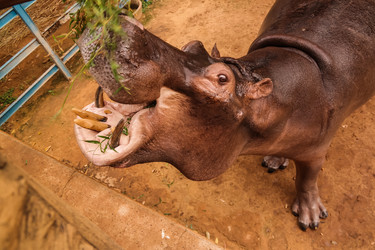 Similar image 13299602