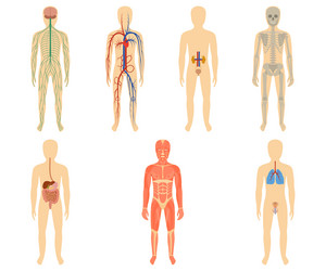 Similar image 13297356