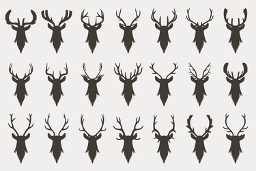 Similar image 13297360