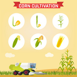 Similar image 13297520