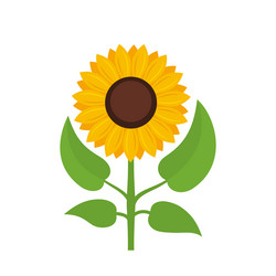 Similar image 13297621