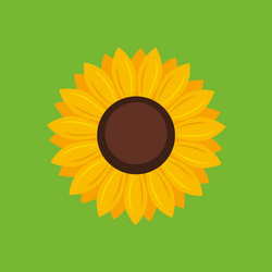 Similar image 13297638