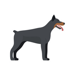 Similar image 13297931