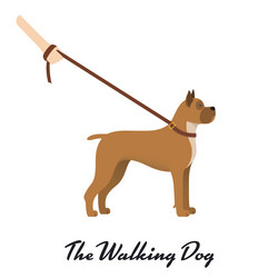 Similar image 13297947