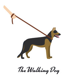 Similar image 13297968