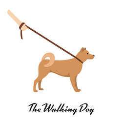 Similar image 13297364