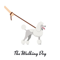 Similar image 13297365