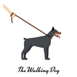 Similar image 13297366