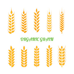 Similar image 13297571