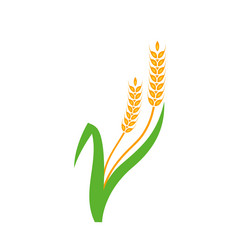 Similar image 13297574