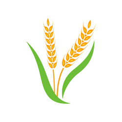 Similar image 13297575