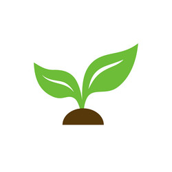 Similar image 13297605