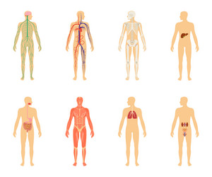 Similar image 13297627