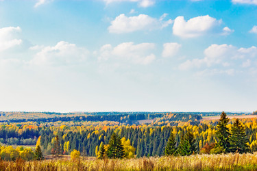 Similar image 13315700