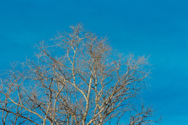 Similar image 13315718