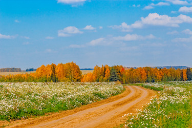 Similar image 13315719