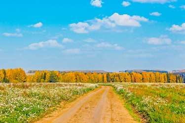 Similar image 13315631