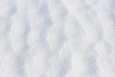 Similar image 13315635