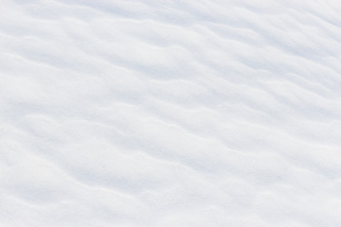 Similar image 13315640