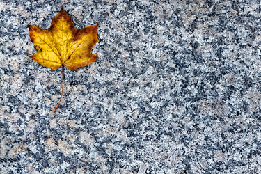 Similar image 13323214