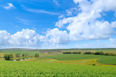 Similar image 13293874