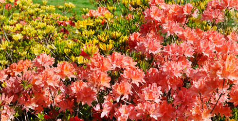 Similar image 13293884