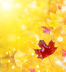 Similar image 13300262