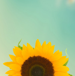 Similar image 13300174