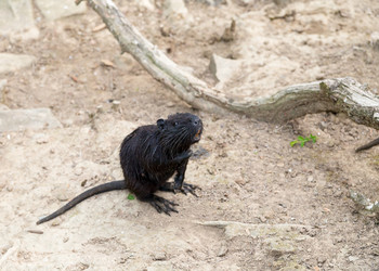 Similar image 13291816