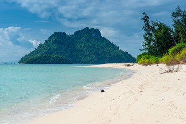 Similar image 13295098