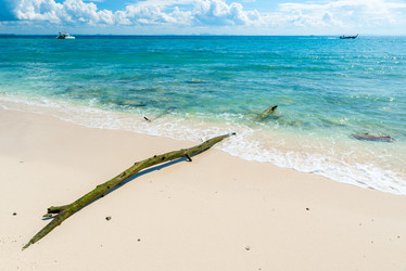 Similar image 13295103