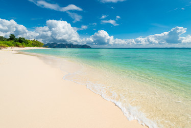 Similar image 13295117