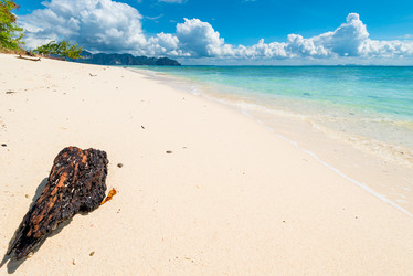 Similar image 13295118