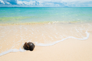 Similar image 13295121