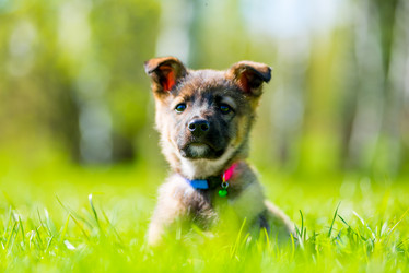 Similar image 13295095