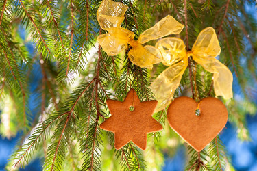 Similar image 13295120