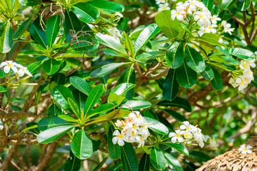 Similar image 13295136