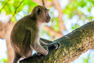 Similar image 13295186