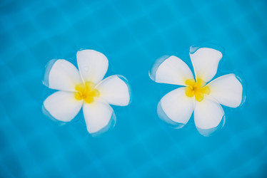 Similar image 13295217