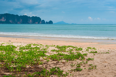 Similar image 13295233